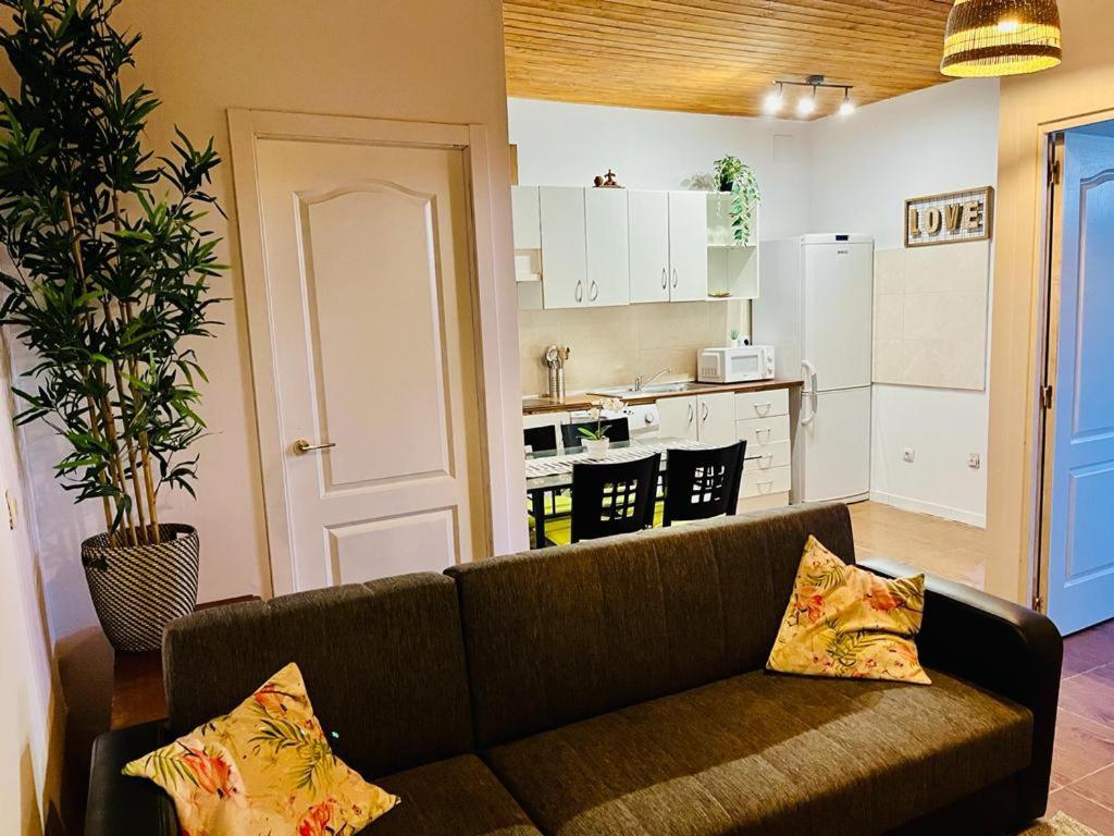 Pintadera House Caracola Lägenhet Icod De Los Vinos Exteriör bild